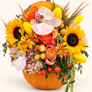 Autumn Pumpkin